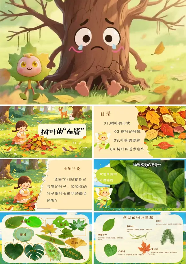 第一单元《树叶的“血管”》二年级上册美术人教 ppt课件(教案)