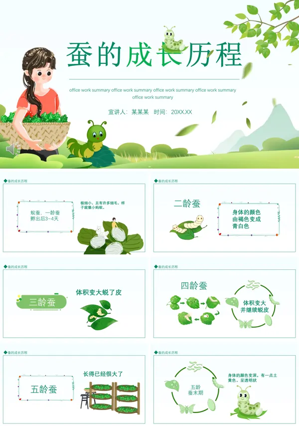 蚕的成长史ppt