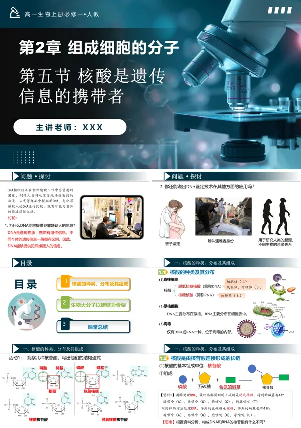 高一人教生物上册必修一2.5核酸是遗传信息的携带者PPT课件含教案
