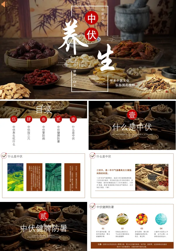 保健常识科普宣传培训中医中伏养生讲座PPT课件