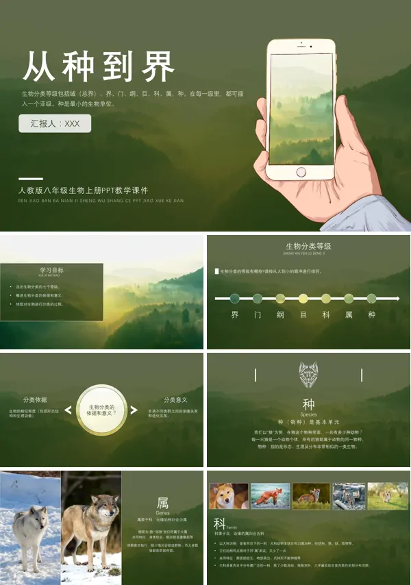 人教版八年级生物上册《从种到界》PPT课件