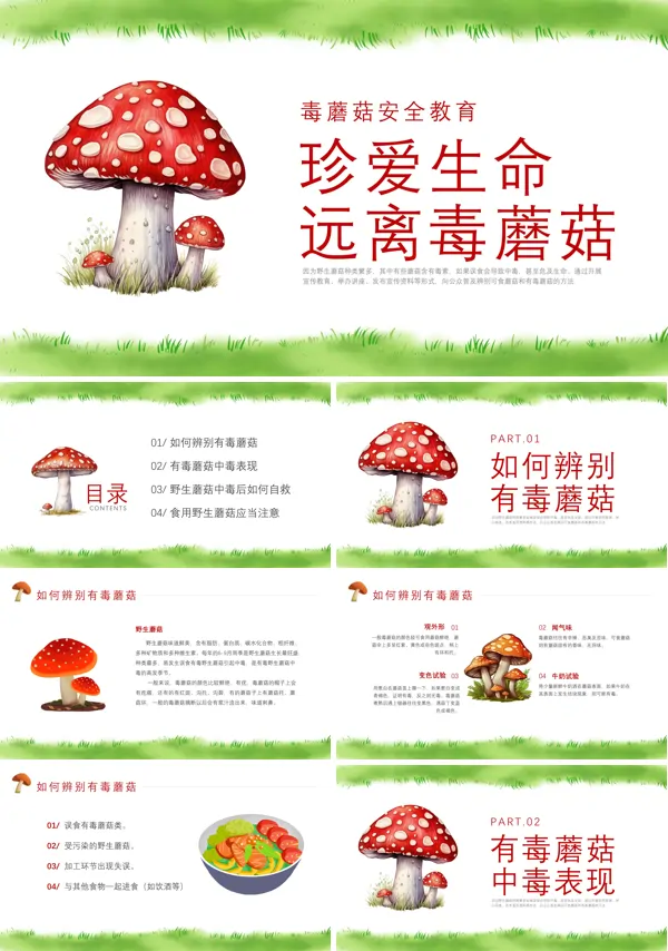 珍爱生命远离毒蘑菇安全教育ppt