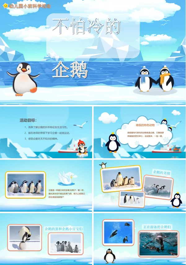 不怕冷的小企鹅PPT课件