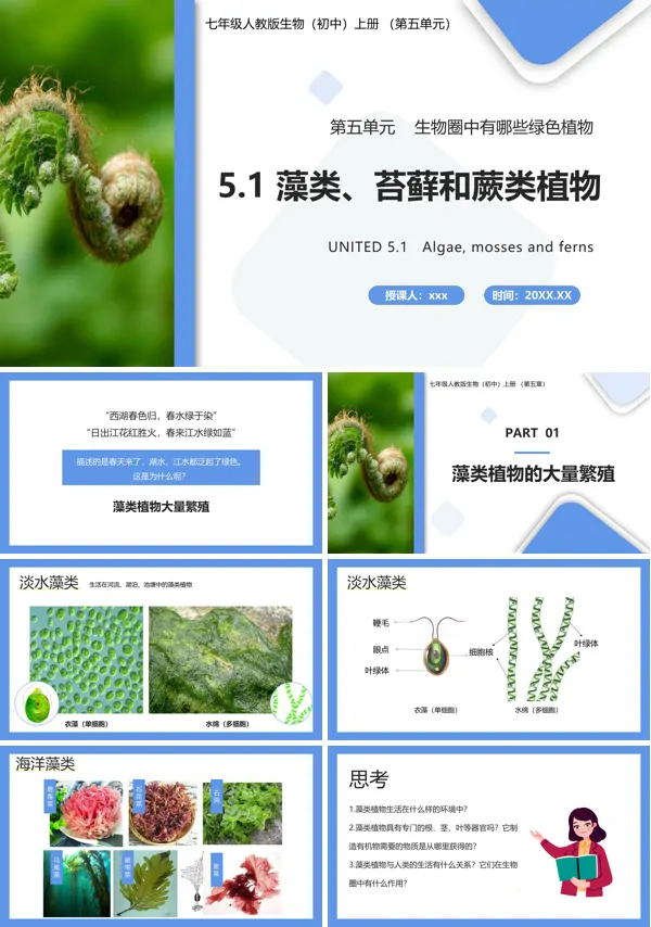 藻类、苔藓和蕨类植物课件PPT模板
