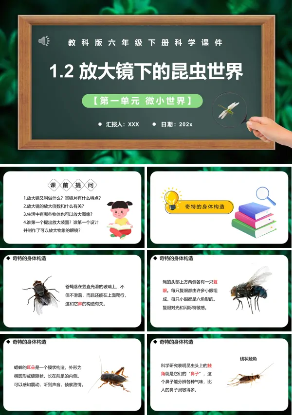 六年级科学下册放大镜下的昆虫世界课件PPT模板