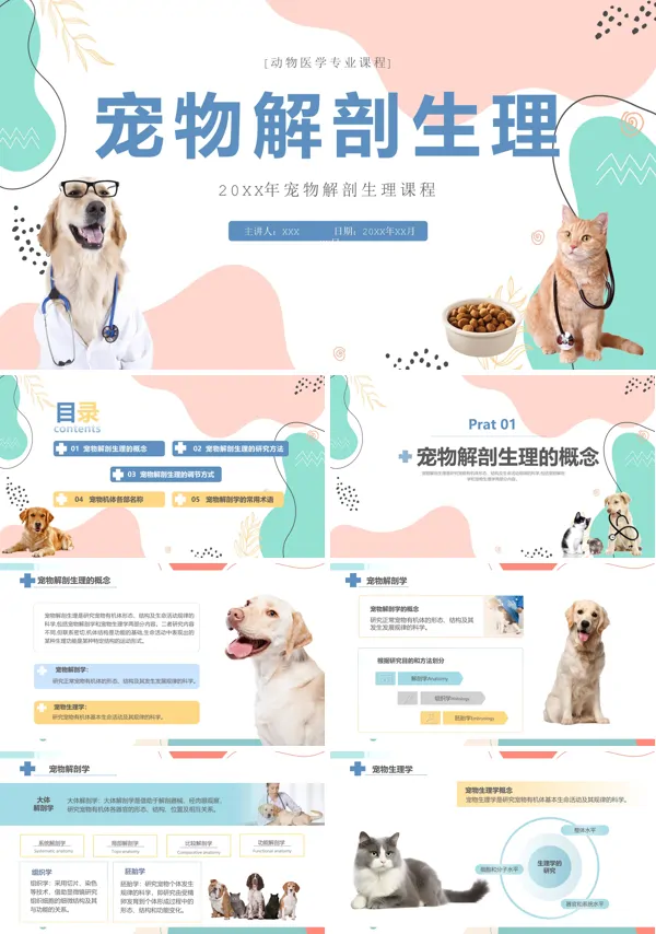 宠物解剖生理讲座PPT课件