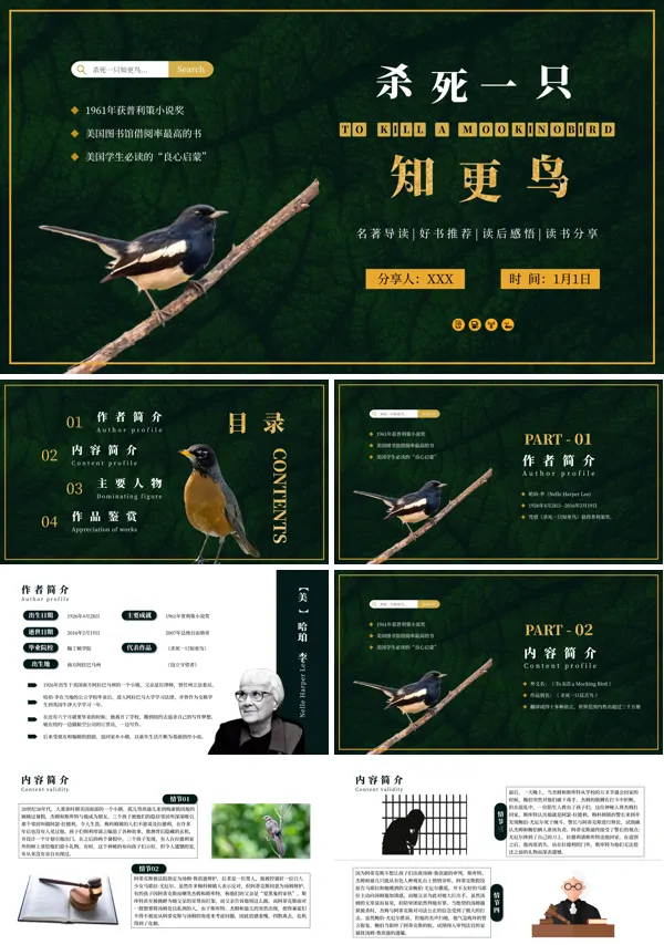 《杀死一只知更鸟》名著导读PPT课件模板