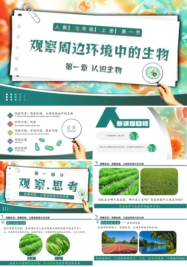 生物人教七年级生物上册观察周边环境中的PPT课件含教案