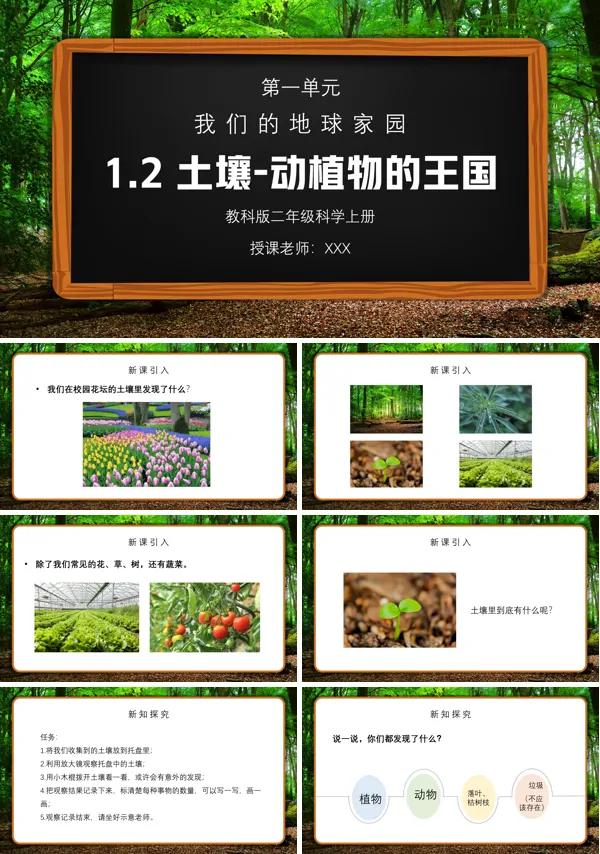 《我们的地球家园-土壤-动植物的乐园》PPT课件