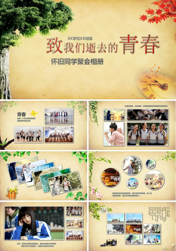 致我们逝去的青春之青春成长相册PPT模板