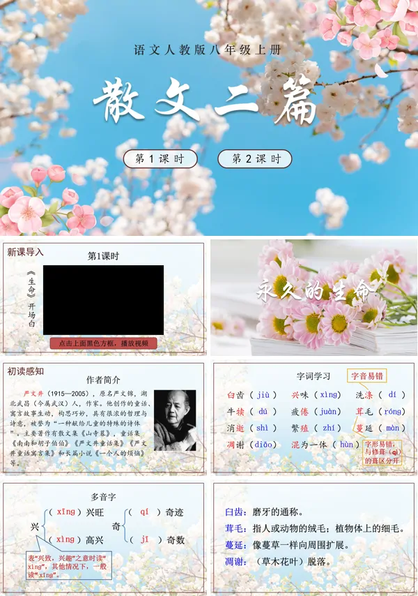 《散文二篇》语文八年级上册PPT课件含教案