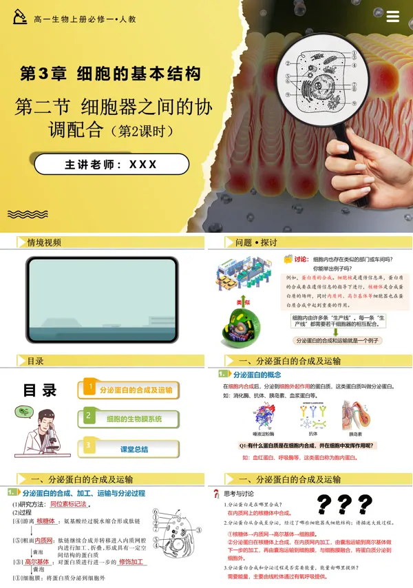 高一人教生物上册必修一3.2.2细胞器之间的协调配合PPT课件含教案