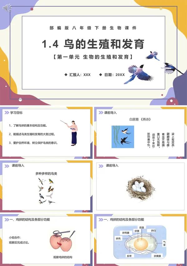 鸟的生殖和发育优质课教案PPT课件