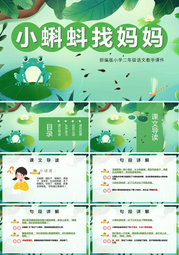 部编版小蝌蚪找妈妈说课PPT课件