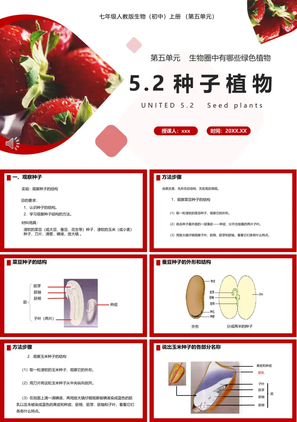 七年级生物上册种子植物课件PPT