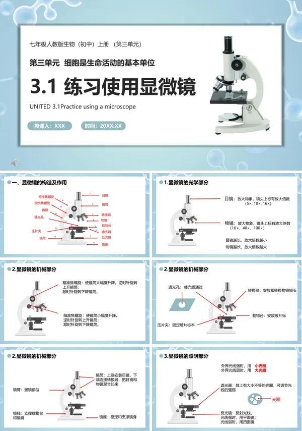 七年级生物上册练习使用显微镜课件PPT