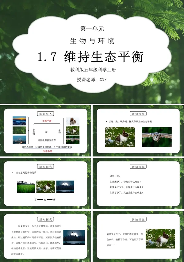生物与环境-维护生态平衡PPT课件