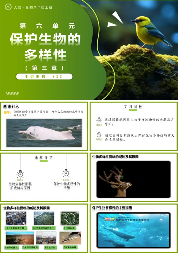 人教八年级生物上册6.3保护生物的多样性PPT课件含教案