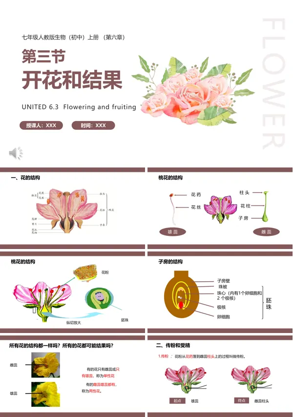 七年级上册生物开花和结果PPT课件