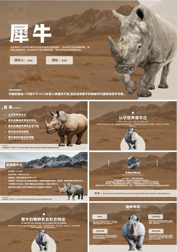 认识犀牛保护野生动物PPT主题班会