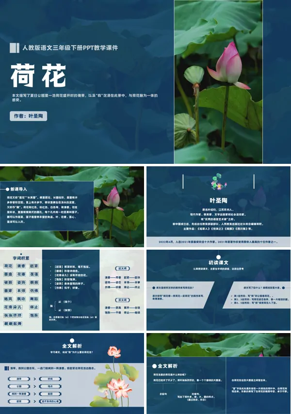 《荷花》PPT课件