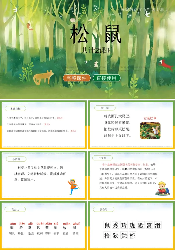 《松鼠》PPT课件
