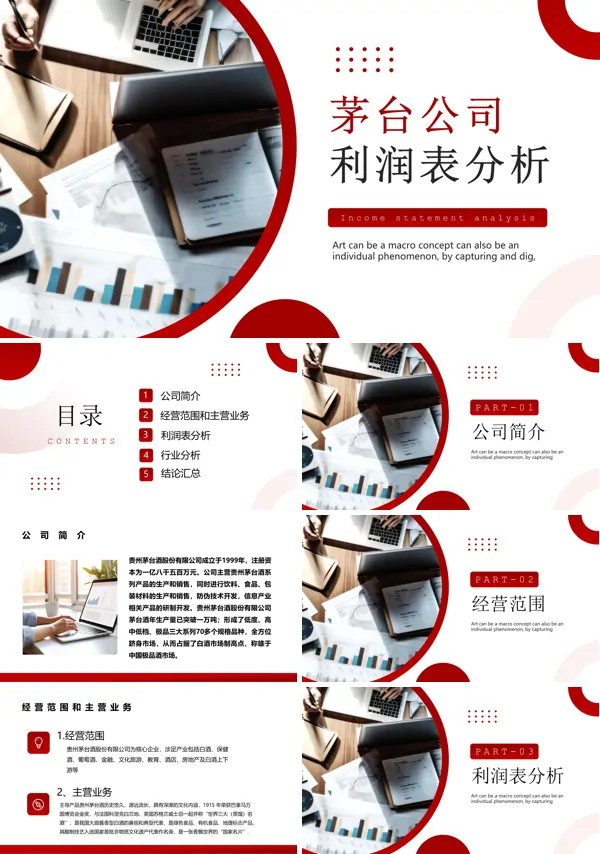 茅台企业利润表分析ppt课件
