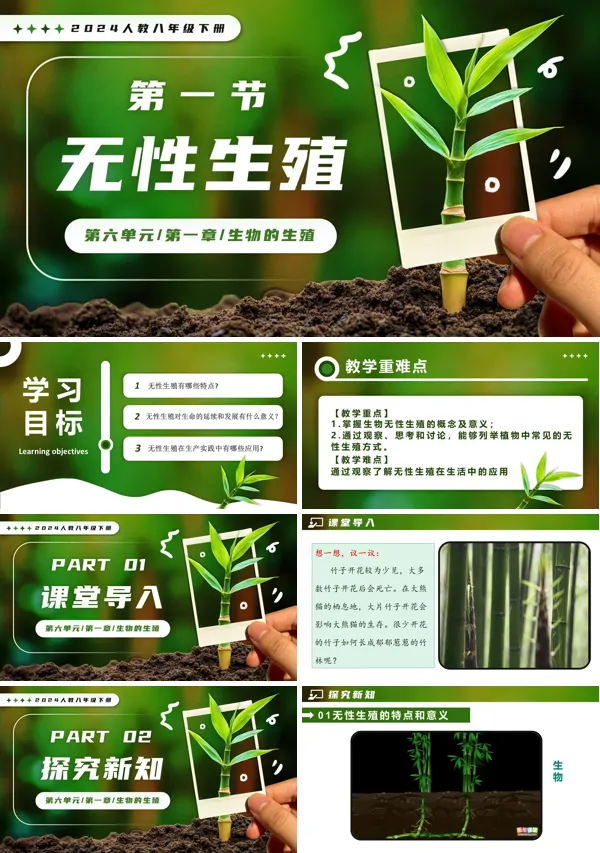 新教材人教八年級生物下冊第1章6.1.1 無性生殖PPT課件（含教案+導學案+提升講義+分層作業(yè)）