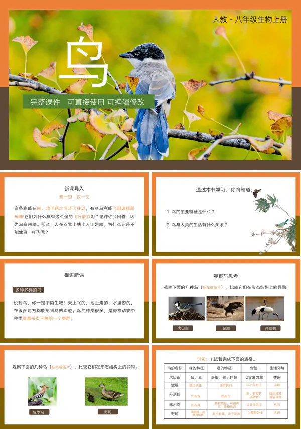 八年级上册生物圈中的其他生物知识点PPT课件
