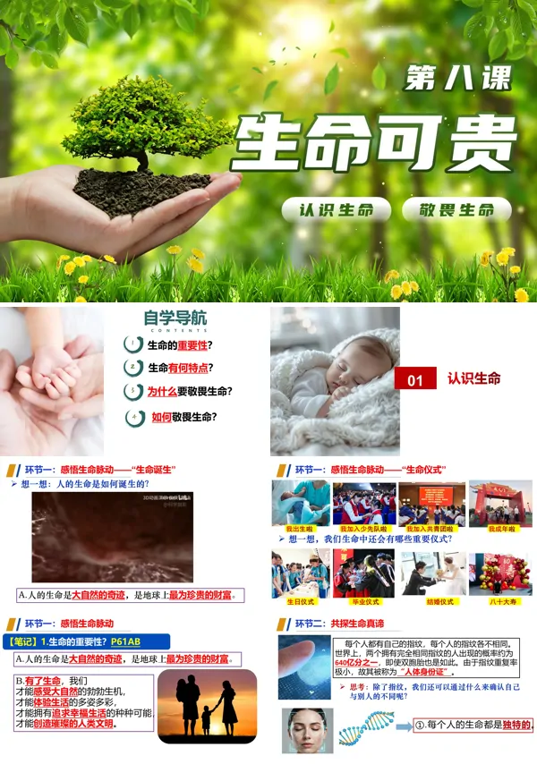 第八课《生命可贵》七年级上册道德与法治 人教 ppt课件(教案+分层作业+知识清单)