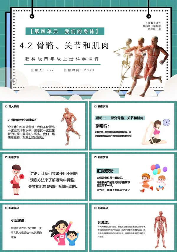 教科版四年级科学上册骨骼关节和肌肉课件PPT