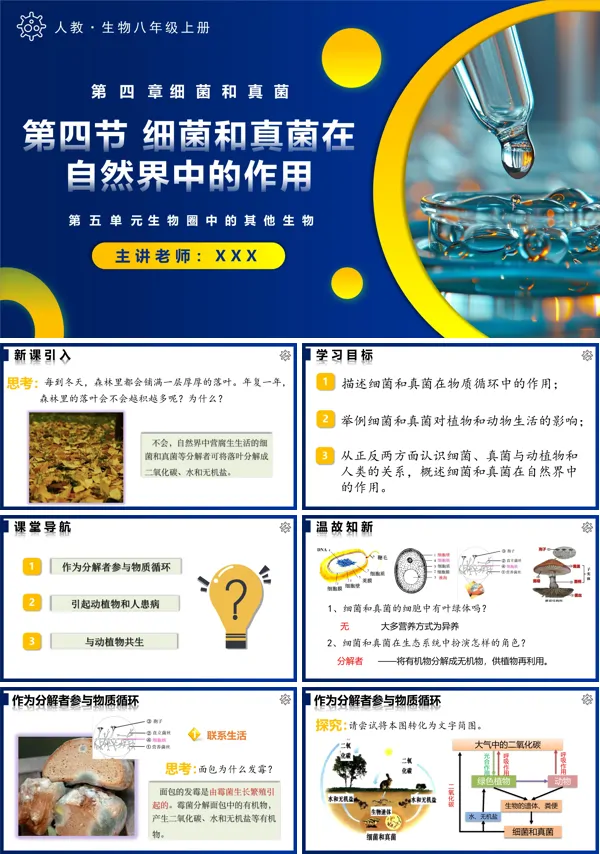 人教八年级生物上册5.4.4细菌和真菌在自然界中的作用PPT课件含教案
