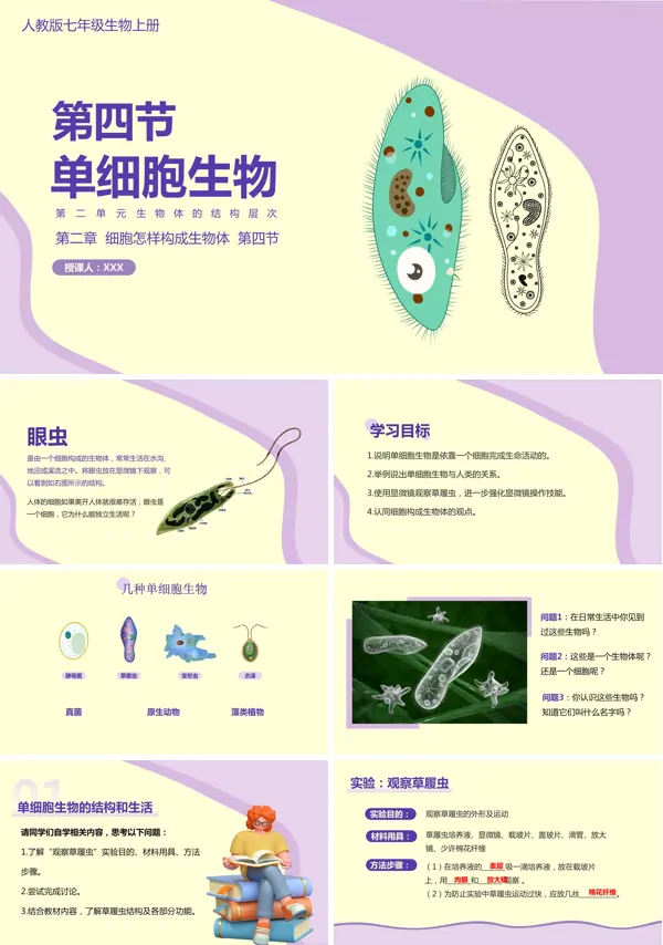 人教版七年级上册《单细胞生物》课件PPT