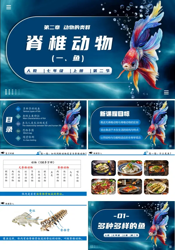 生物人教七年级生物上册脊椎动物(一、鱼)PPT课件含教案