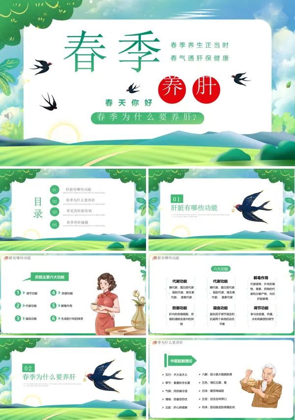 春季养肝的养生知识PPT