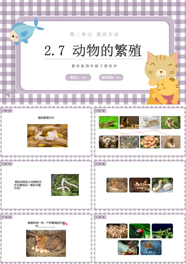 动物的繁殖课件PPT模板