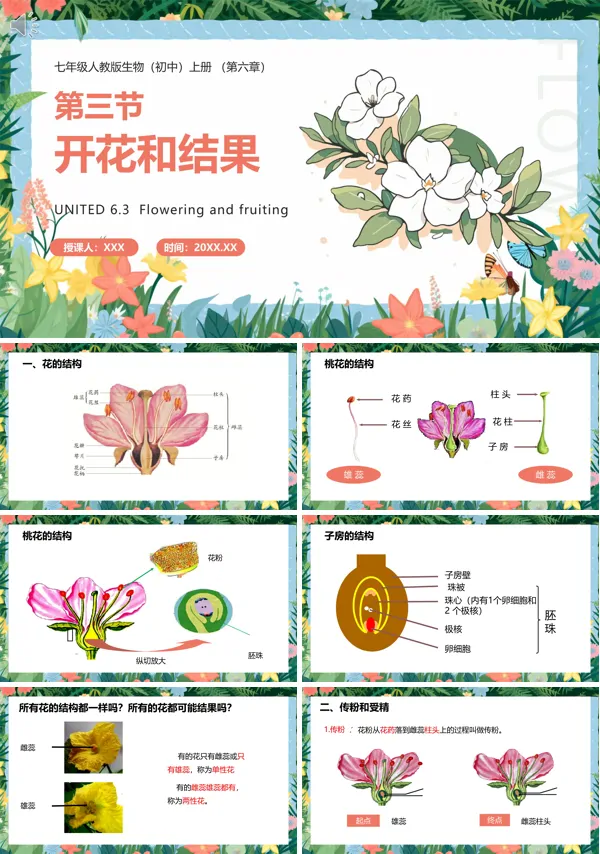 七年级上册生物开花与结果教案PPT课件