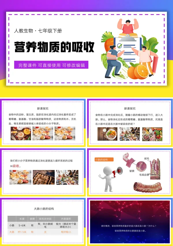 初一生物下册营养物质的吸收PPT课件