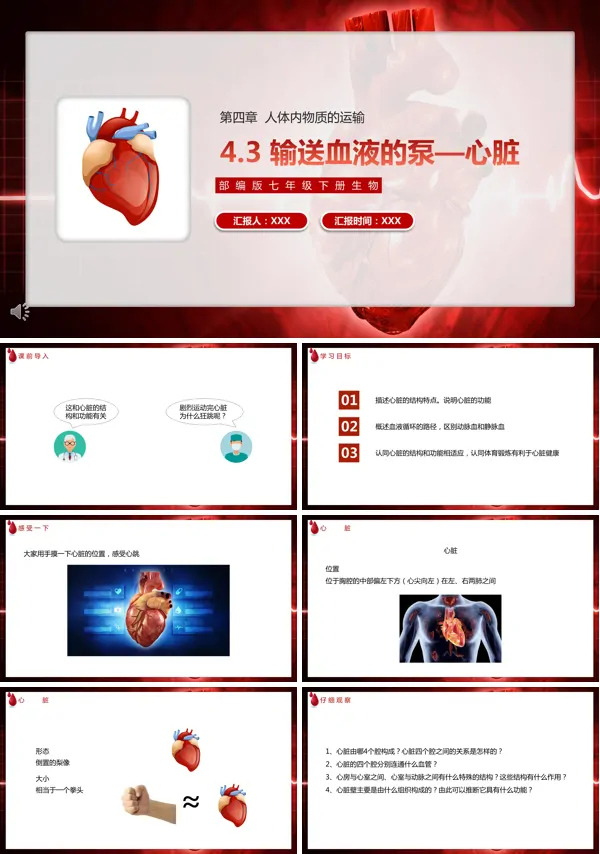 人教版七年级下册生物输送血液的泵PPT课件