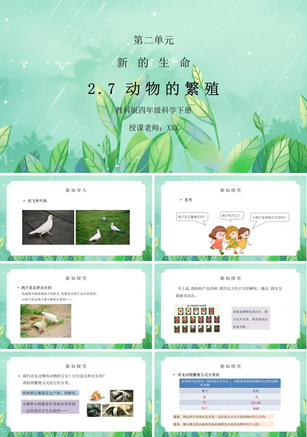 动物的繁殖PPT课件