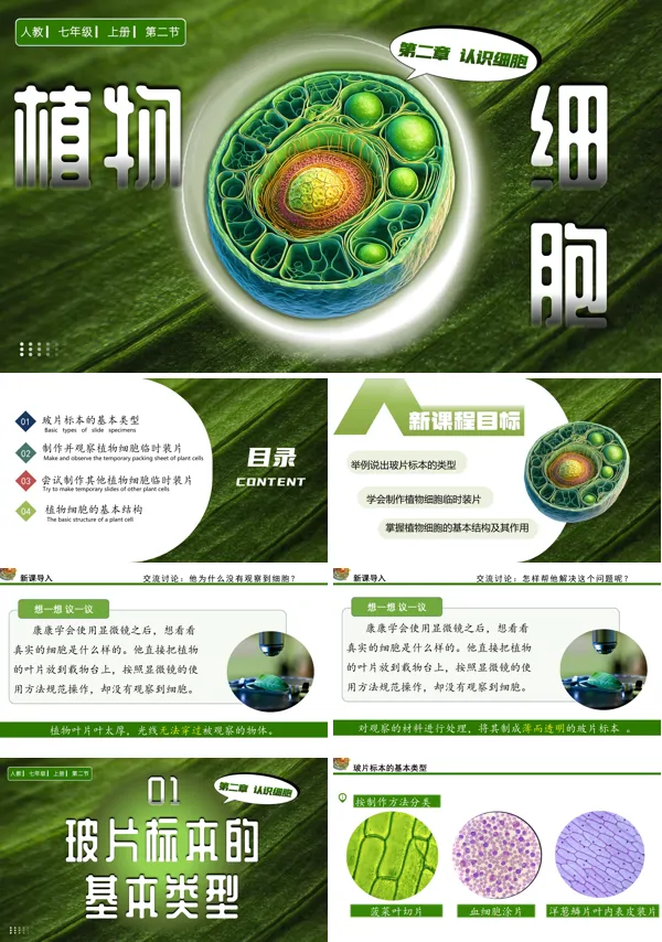 人教七年级生物上册植物细胞PPT课件含教案