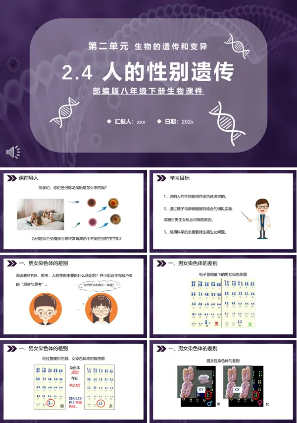 八年级生物下册人的性别遗传课件PPT