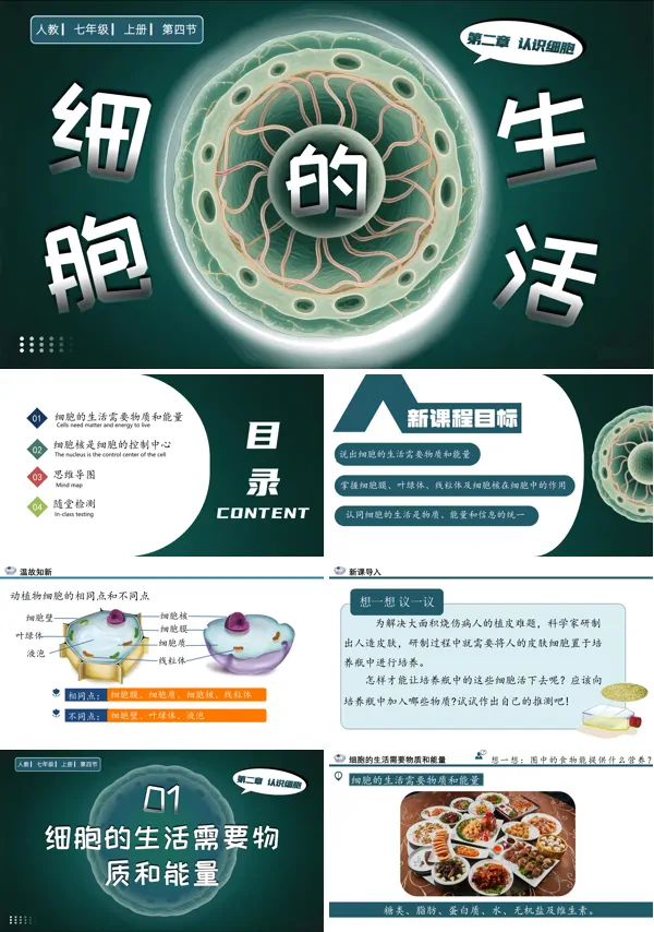 人教七年级生物上册细胞的生活PPT课件含教案
