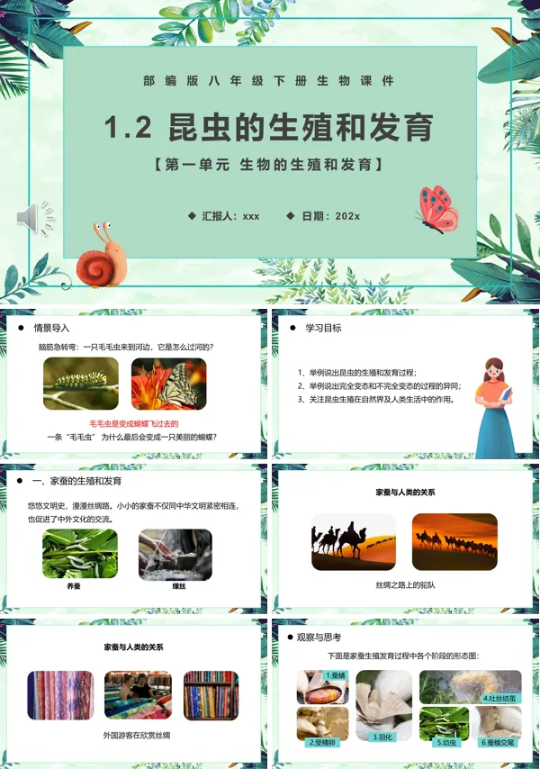 昆虫的生殖和发育课件PPT模板