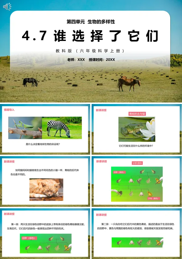 教科版六年级上册科学谁选择了它们课件PPT模板