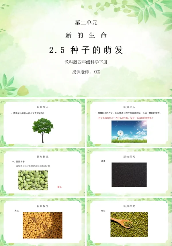 新的生命种子的萌发ppt课件
