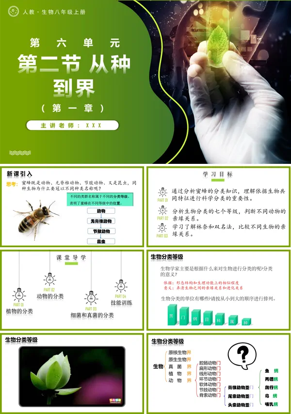 人教八年级生物上册6.1.2从种到界PPT课件含教案