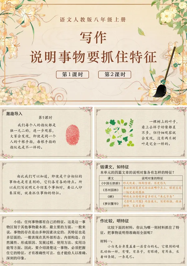 写作说明事物要抓住特征语文八年级上册PPT课件含教案