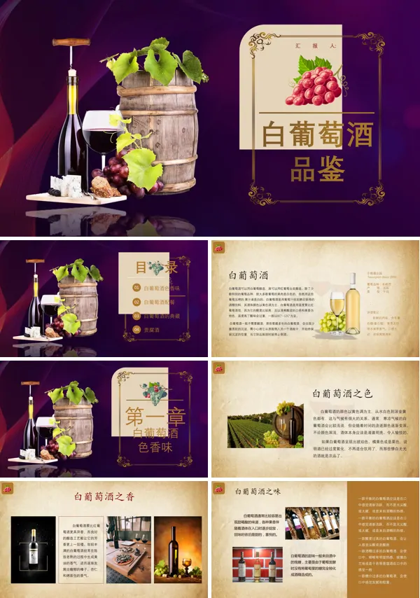 白葡萄酒鉴赏.ppt