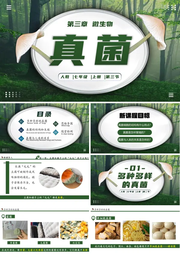 生物人教七年级生物上册真菌PPT课件含教案